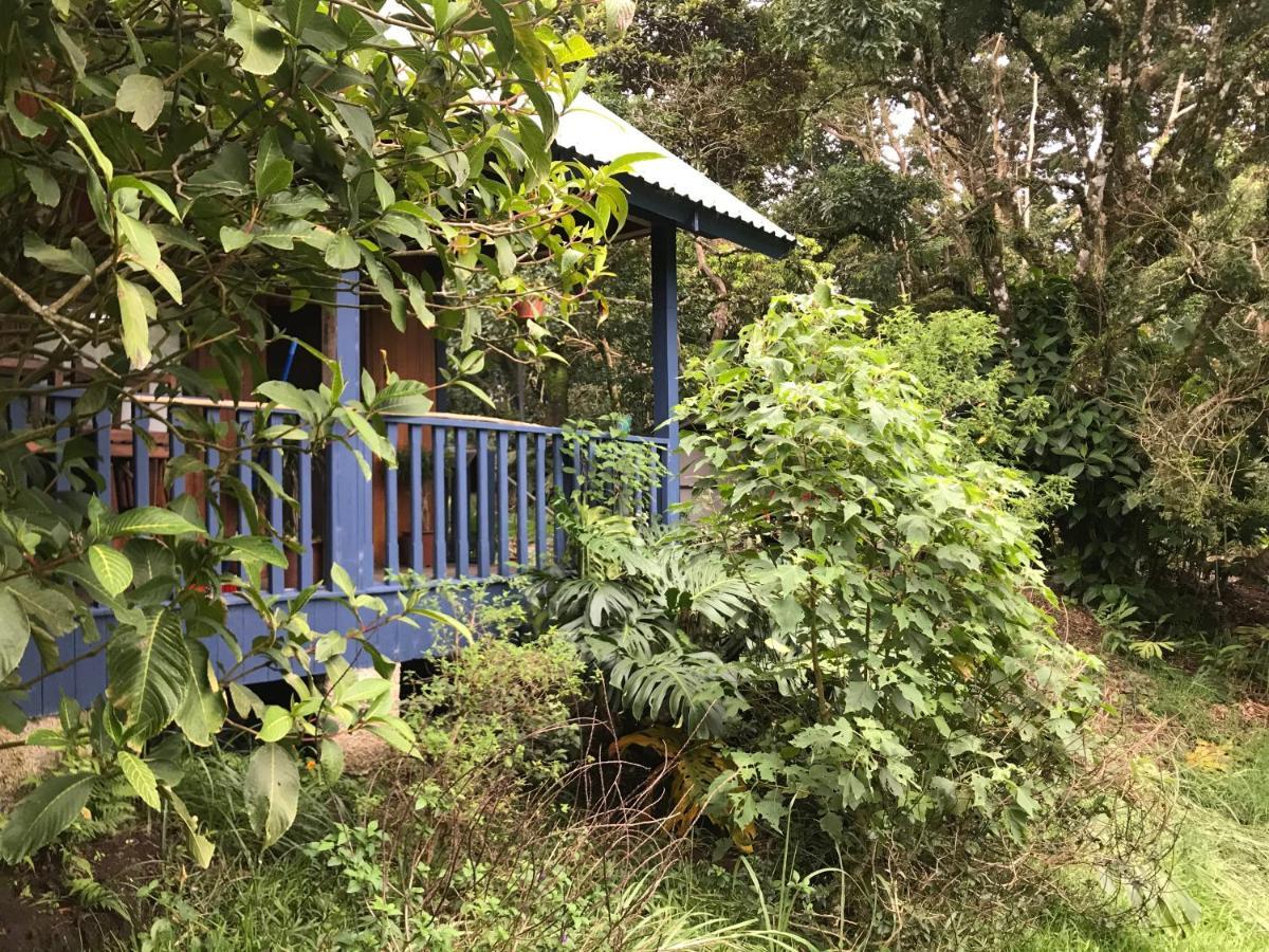 Hotel Casitas Rainy Days Santa Elena  Exterior foto